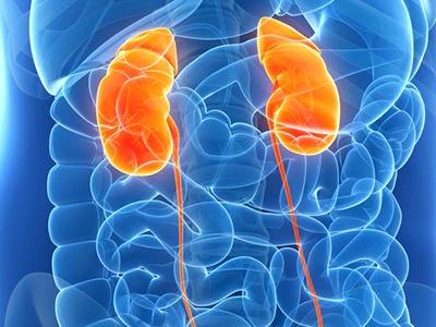 Kidney Disorder