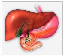 Liver Disorder